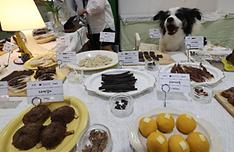 Law revision allows people to enter restaurants with pets