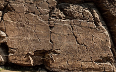 The Petroglyphs in Bangudae Terrace