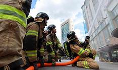 Emerging critical risk mgmt. named best practice by OECD