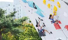 Faster and higher: Seoul hosts world sports climbing tourney