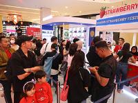 'K-푸드+' 수출 33억 5000만 달러, 3.5%↑…가공·신선 모두 호조